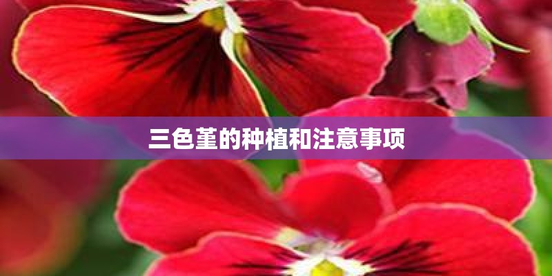 工业除尘国内设备厂家有哪些做的比较好的？