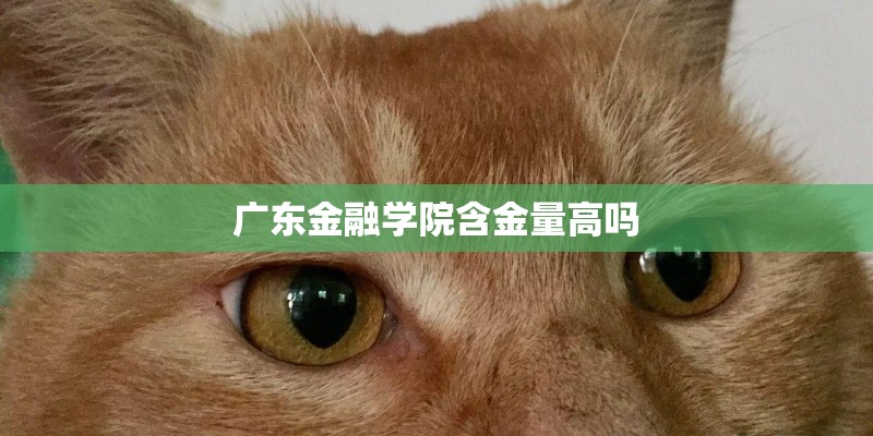 试驾发现神行-老虎变病猫？