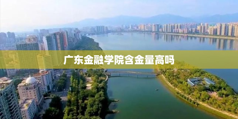 广东金融学院含金量高吗