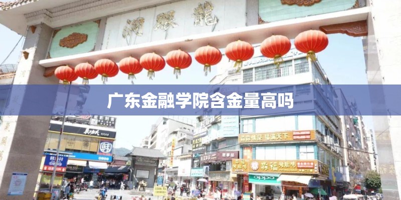 广东金融学院含金量高吗