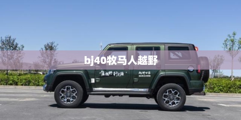 室内垂直绿化植物有哪些