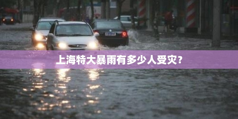 荆芥怎么种