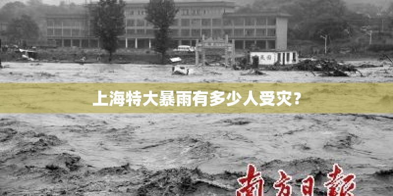 上海特大暴雨有多少人受灾？