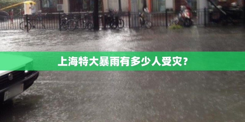 上海特大暴雨有多少人受灾？
