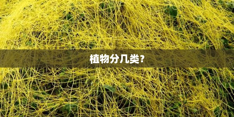 植物分几类？