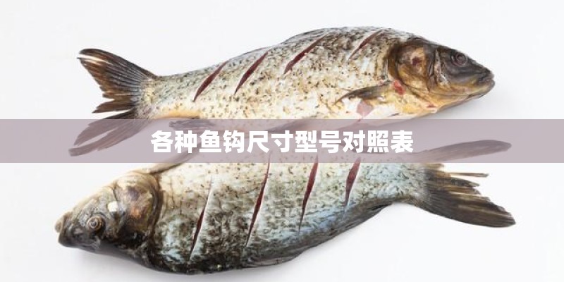 各种鱼钩尺寸型号对照表