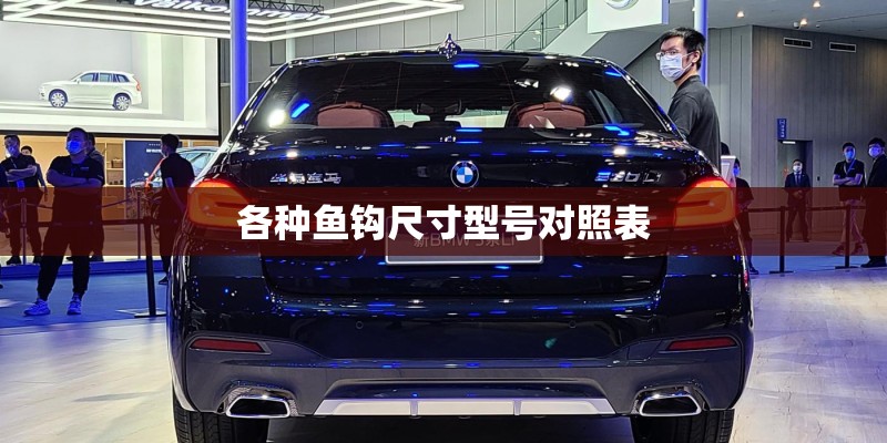 各种鱼钩尺寸型号对照表