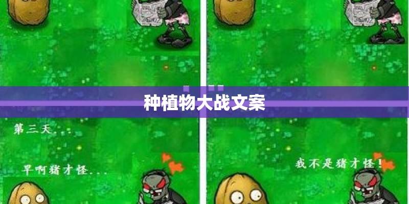 女生说ds是什么意思？_1