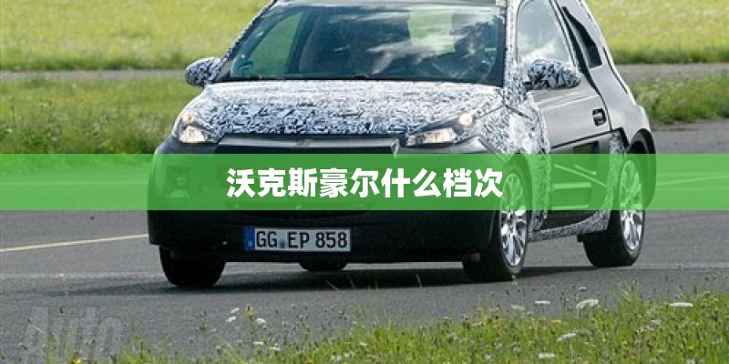 沃克斯豪尔什么档次