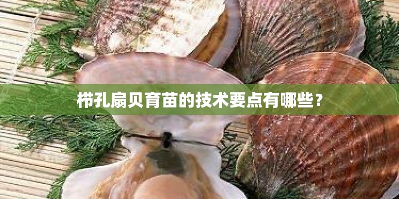 去神农架旅游需要几天？