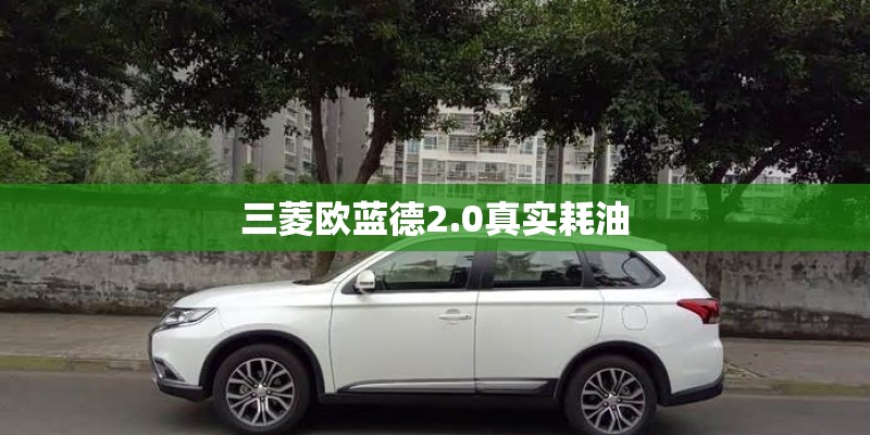 三菱欧蓝德2.0真实耗油