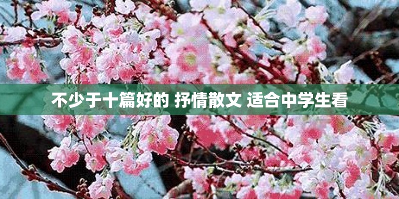 不少于十篇好的 抒情散文 适合中学生看