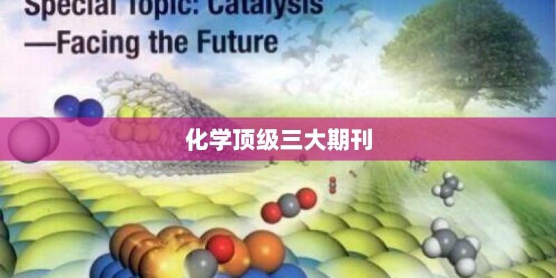布里斯托大学一年花费