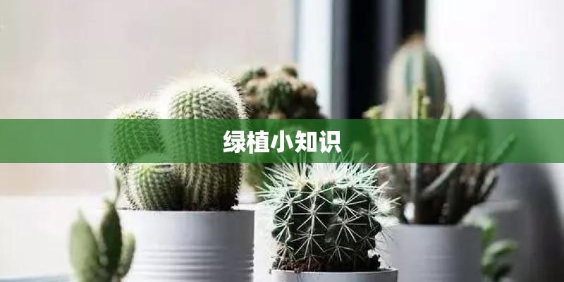 绿植小知识