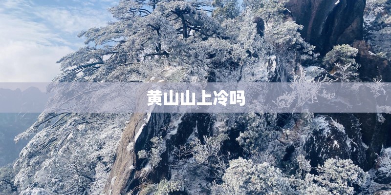 黄山山上冷吗