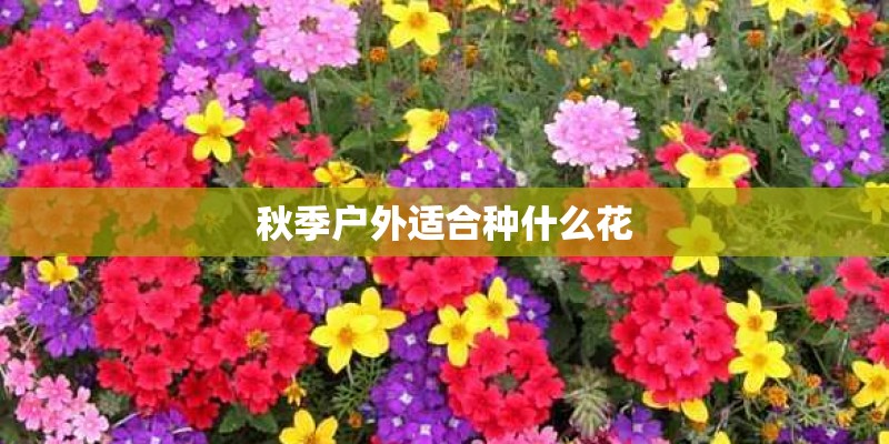黄山山上冷吗