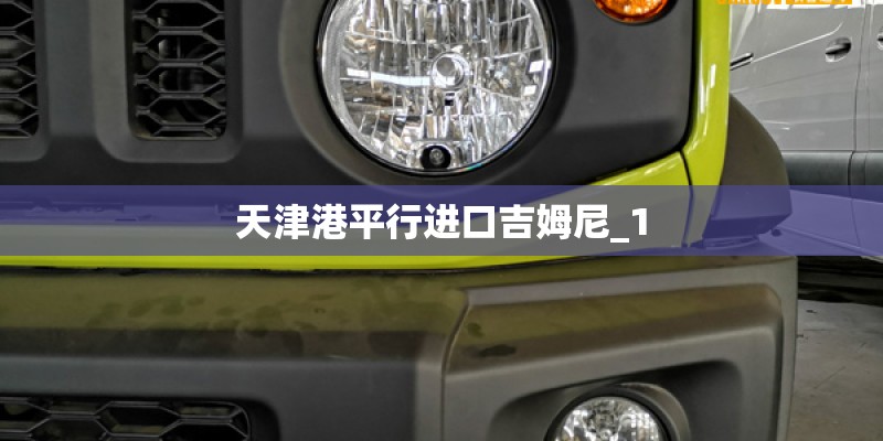 天津港平行进口吉姆尼_1