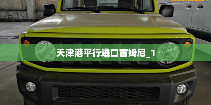 天津港平行进口吉姆尼_1