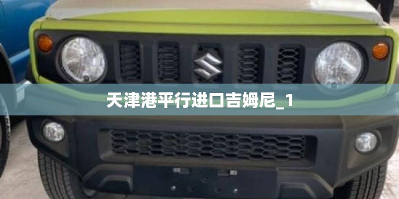 天津港平行进口吉姆尼_1