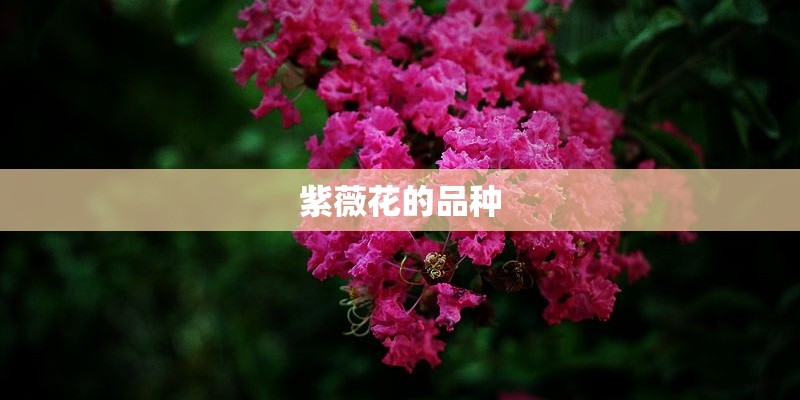 太康站的四：三洋铁路项目沿途概述_1