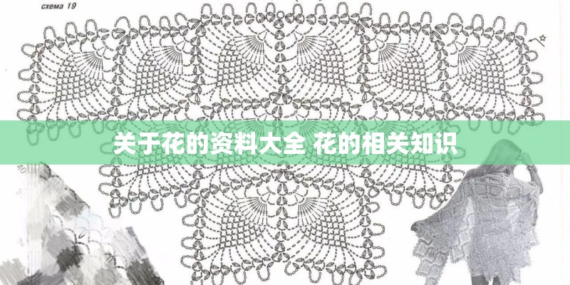 关于花的资料大全 花的相关知识 关于花的资料大全 花的相关知识