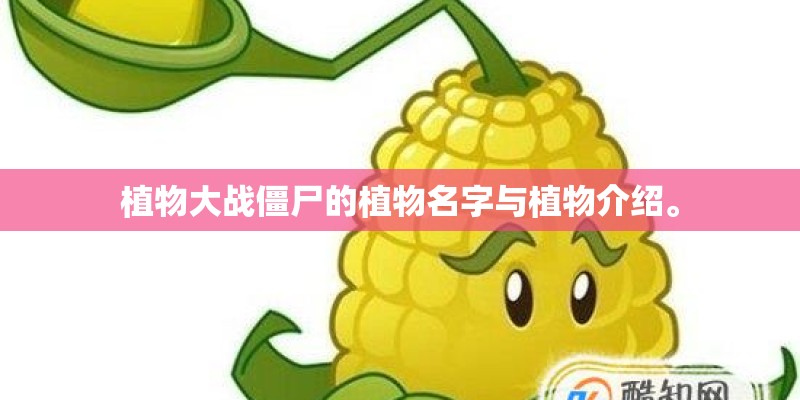 植物大战僵尸的植物名字与植物介绍。