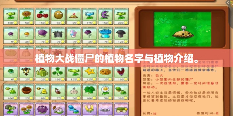 植物大战僵尸的植物名字与植物介绍。