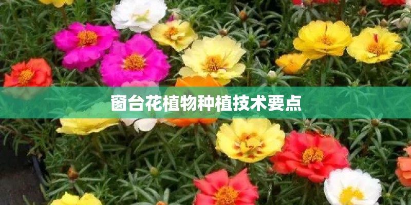 洪水导致湖南多少人受灾？