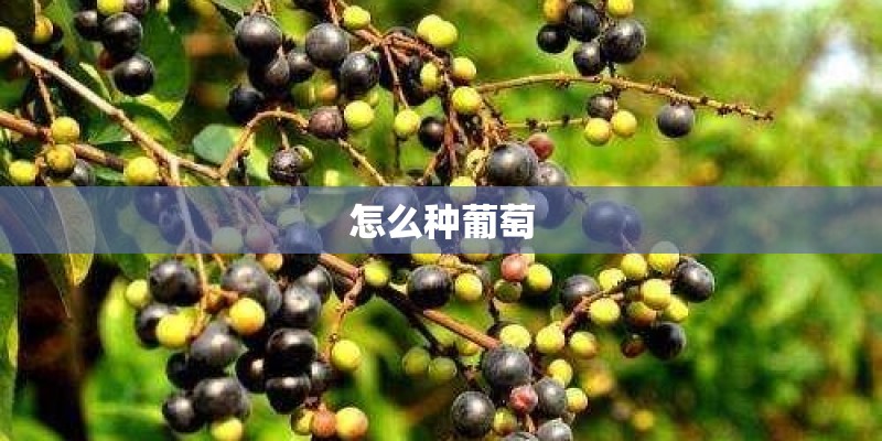 国家一级二级出版社名单