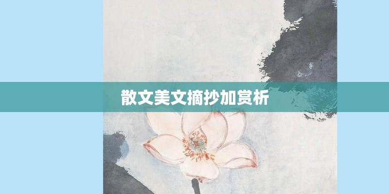 散文美文摘抄加赏析