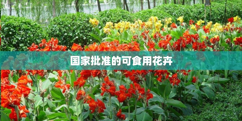 散文美文摘抄加赏析