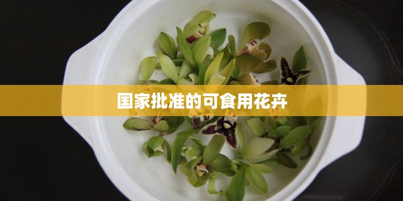 国家批准的可食用花卉