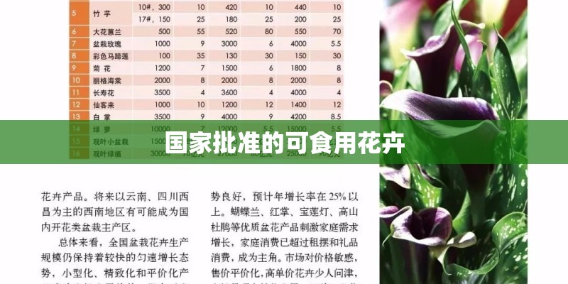 国家批准的可食用花卉