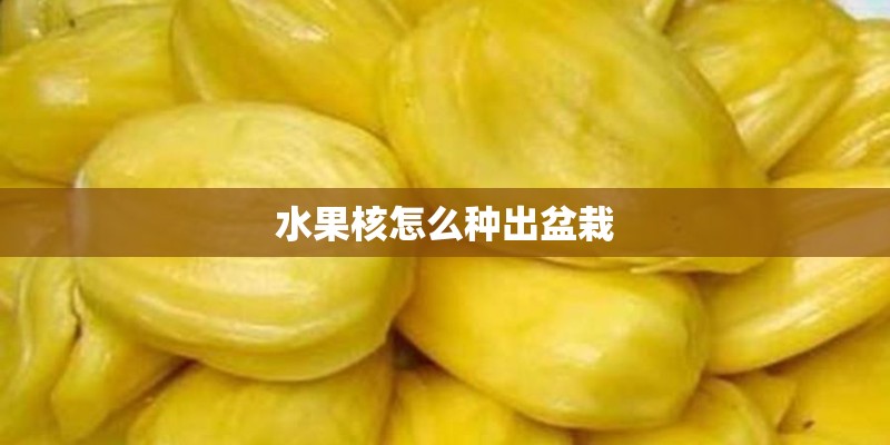 水果核怎么种出盆栽 水果核怎么种出盆栽