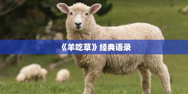 《羊吃草》经典语录 《羊吃草》经典语录