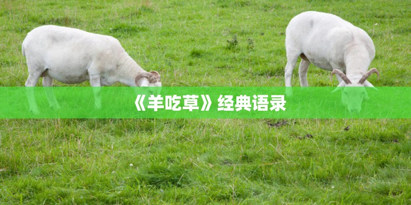 《羊吃草》经典语录 《羊吃草》经典语录