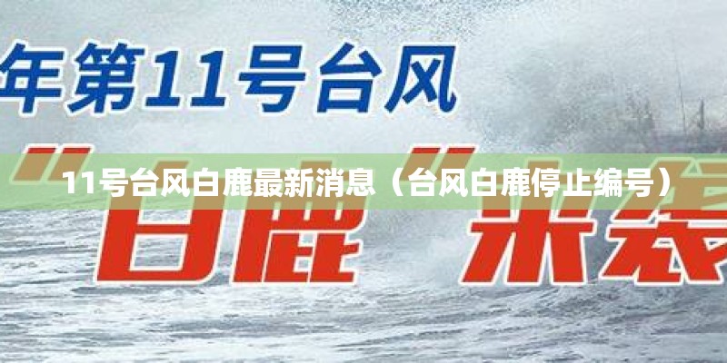 11号台风白鹿最新消息（台风白鹿停止编号）