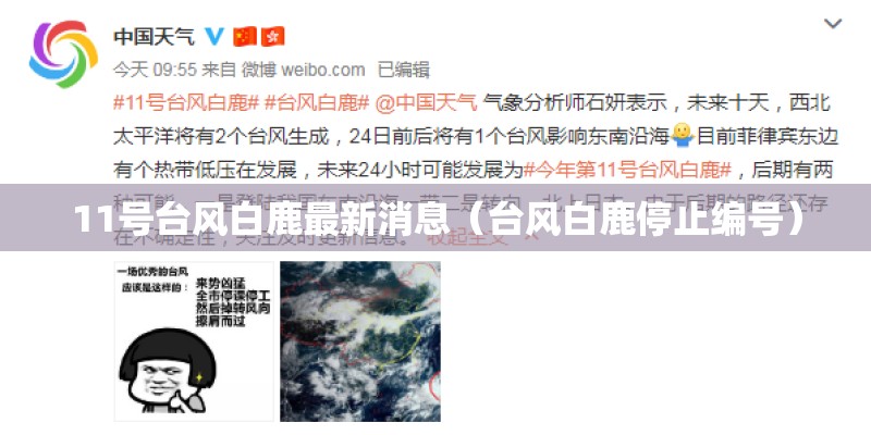 11号台风白鹿最新消息（台风白鹿停止编号）