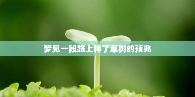 梦见一段路上种了草树的预兆