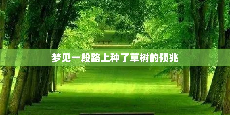 梦见一段路上种了草树的预兆