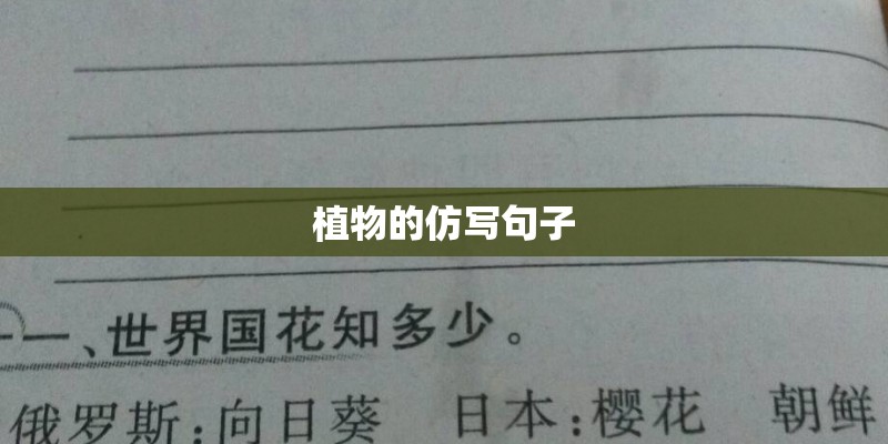 植物的仿写句子