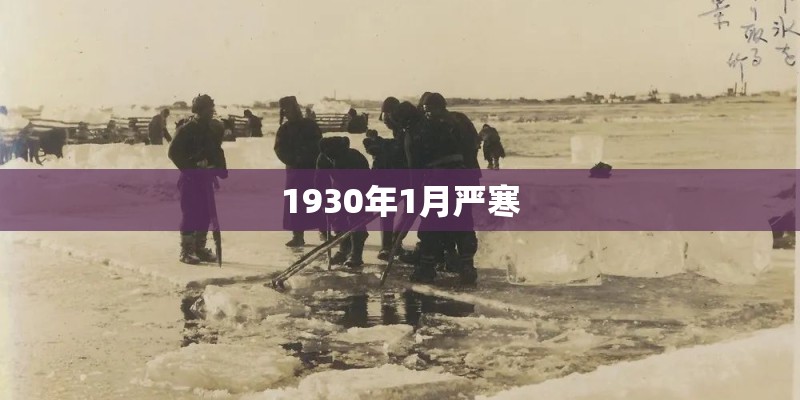 1930年1月严寒