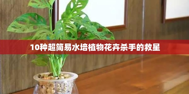 电子科技大厦在华强北哪个出口