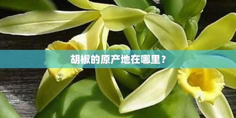大连租房子哪里便宜大连哪里房子好租
