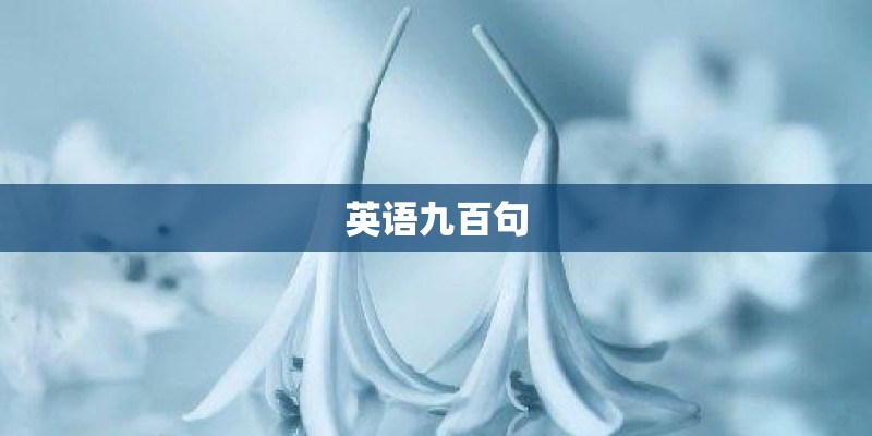 “LABIBABY拉比”的品牌故事？