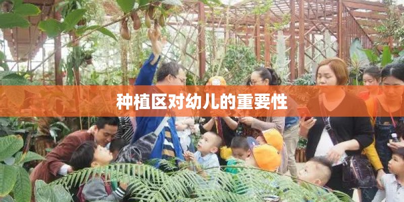 种植区对幼儿的重要性 种植区对幼儿的重要性