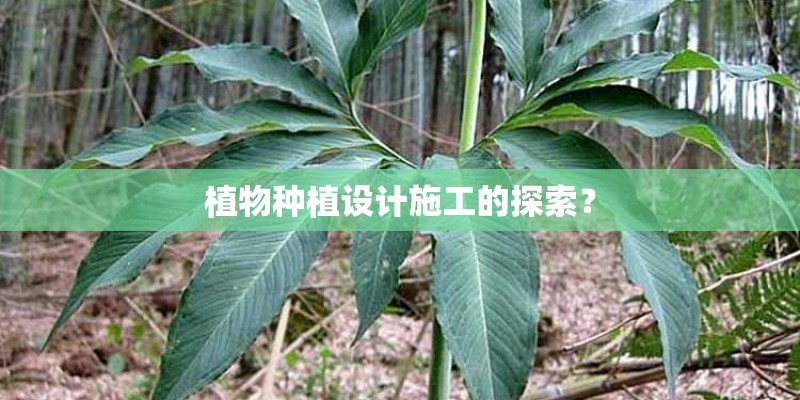 植物种植设计施工的探索？