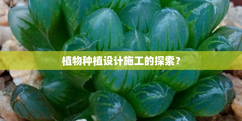 植物种植设计施工的探索？