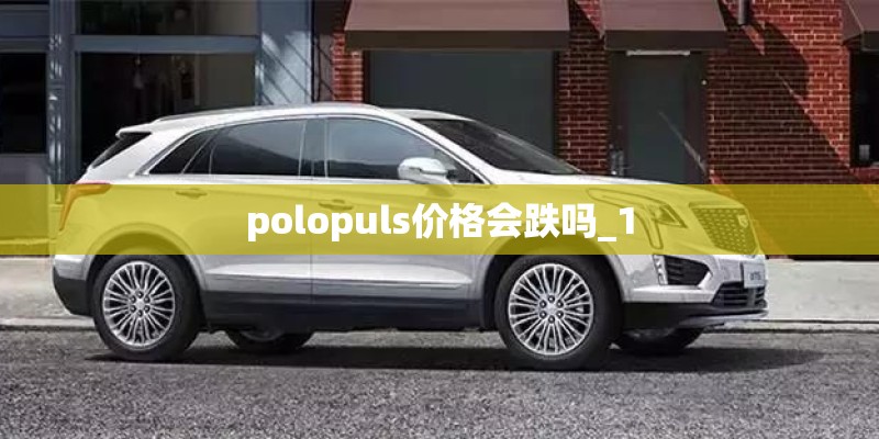 polopuls价格会跌吗_1