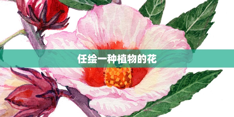 任绘一种植物的花